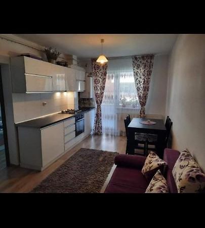 Diana Apartament Appartamento Braşov Esterno foto
