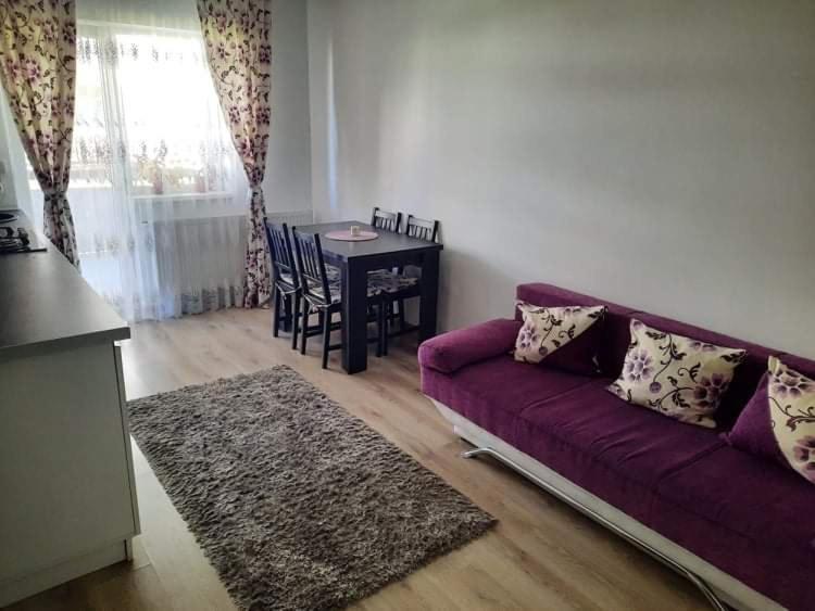 Diana Apartament Appartamento Braşov Esterno foto